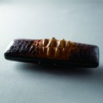 ds_ji-zg6015saya＿gebuta